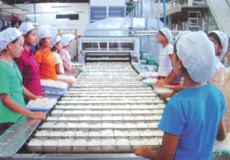 粉塊干燥機 粉塊干燥機